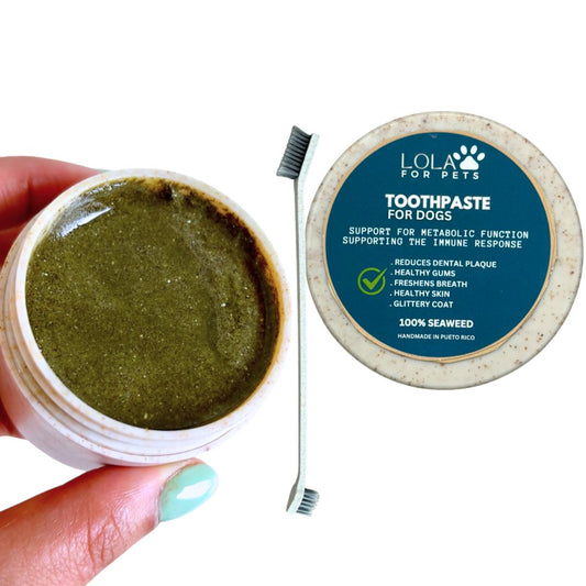Seaweed and mint toothpaste + toothbrush