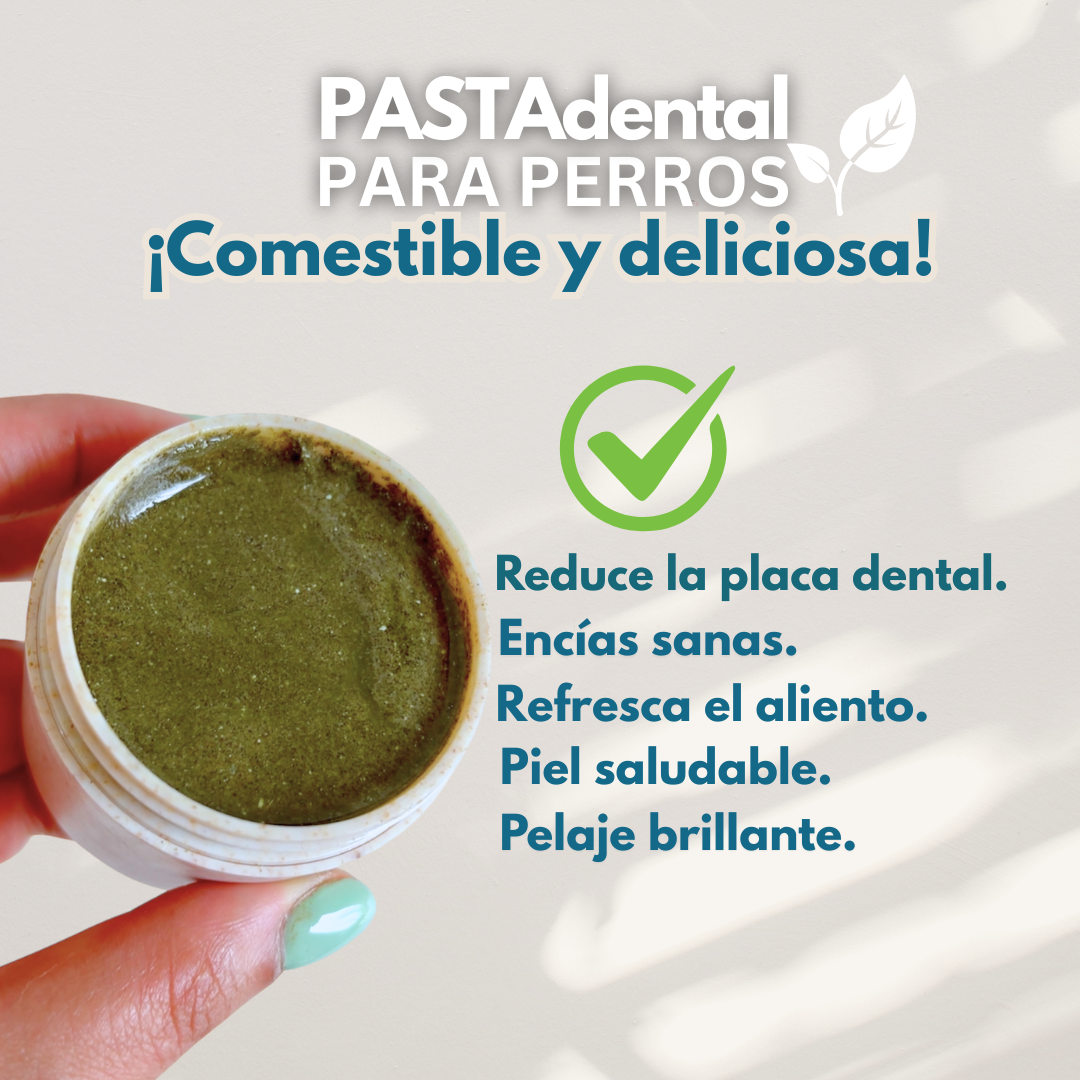 Seaweed and mint toothpaste + toothbrush