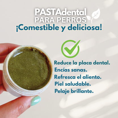 Seaweed and mint toothpaste + toothbrush