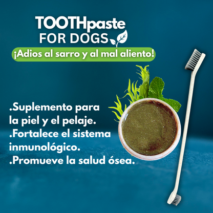 Seaweed and mint toothpaste + toothbrush