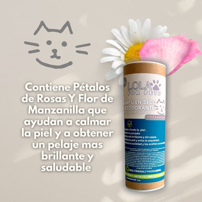 Dry Shampoo & Deodorant CATS POWDER