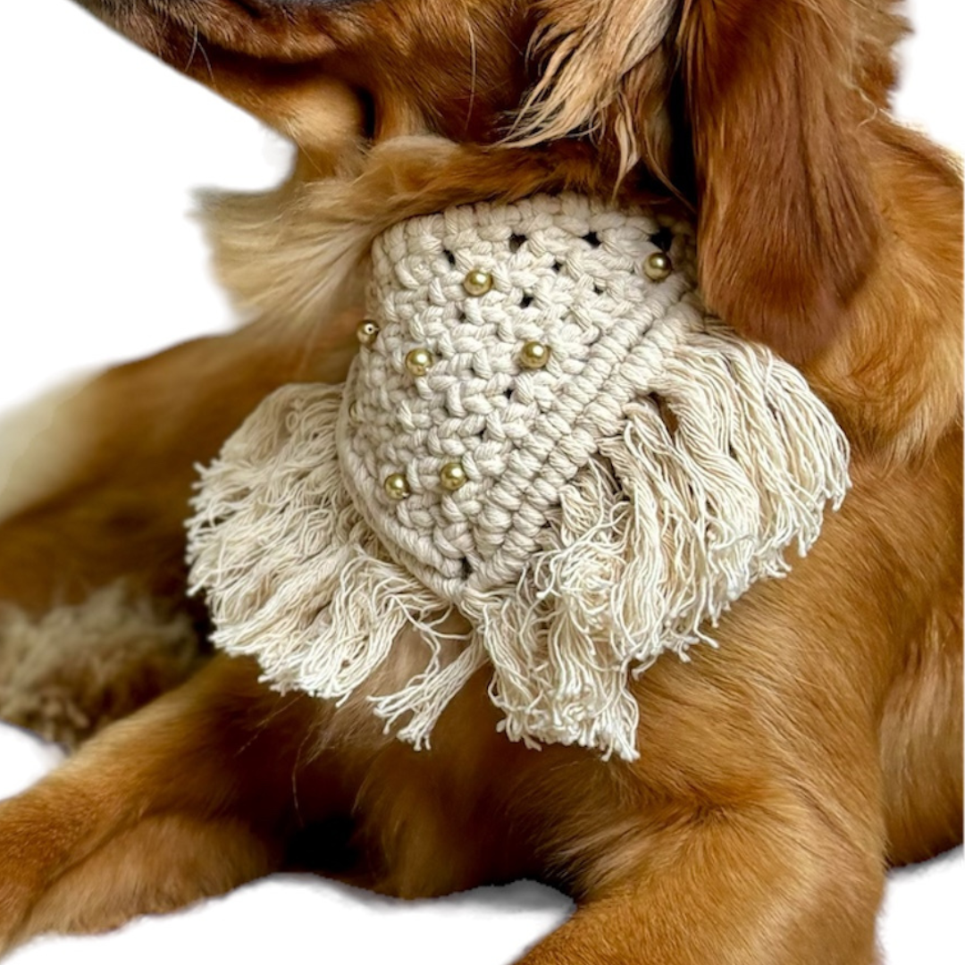 Boho Bandanas