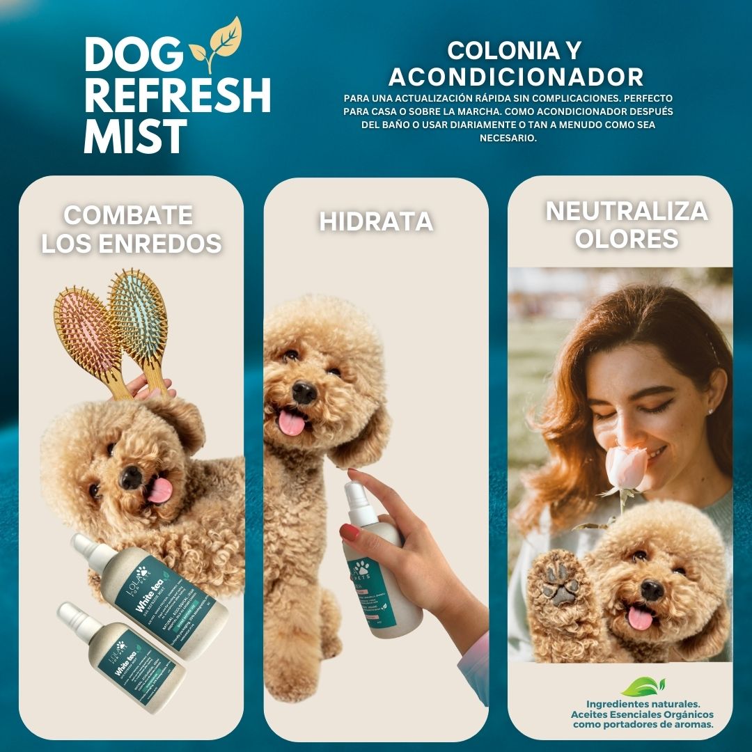 Dog Refresh Mist
