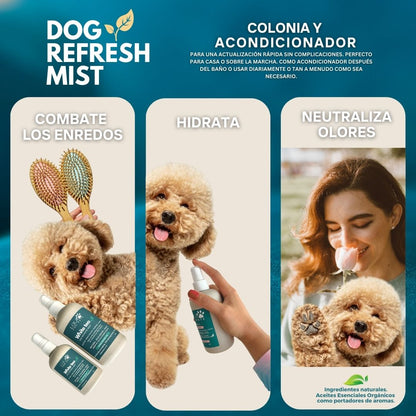 Dog Refresh Mist