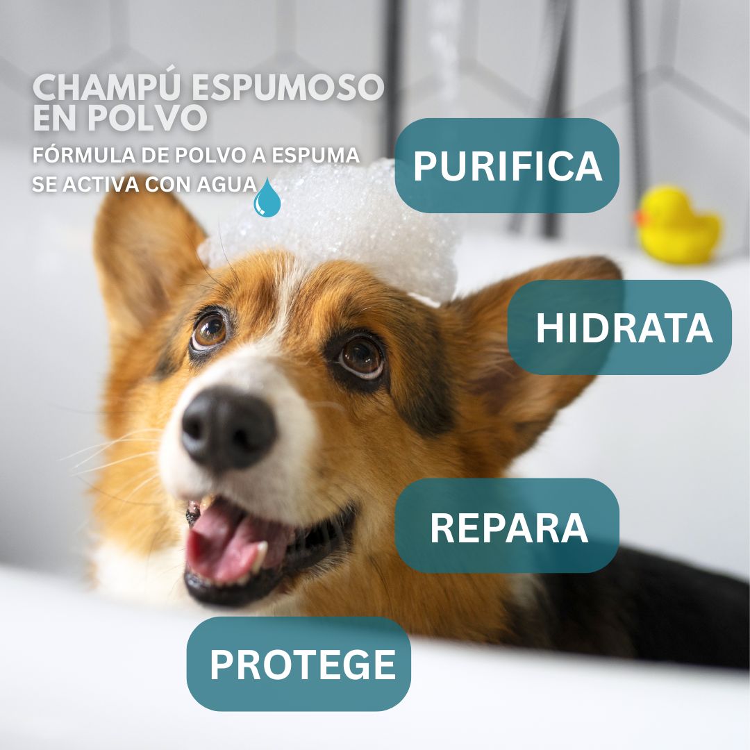 Foaming Shampoo Powder for Dogs (1 lb)