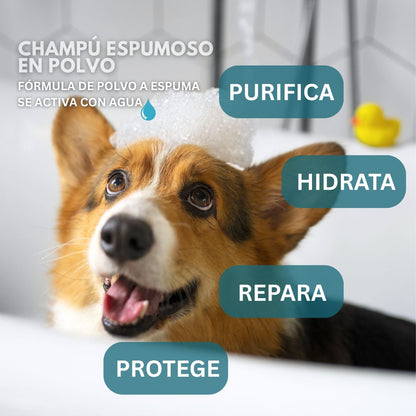 Foaming Shampoo Powder for Dogs (1 lb)