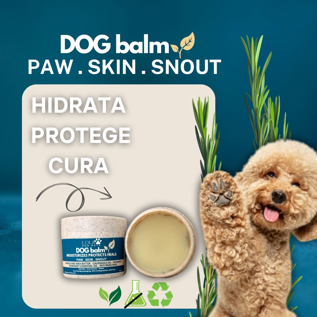Paw Balm