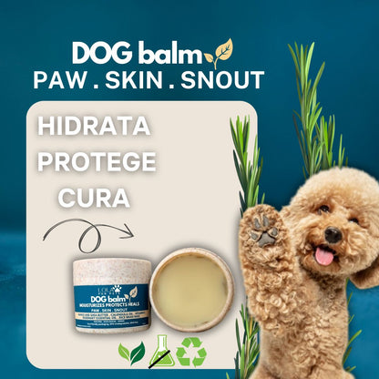 Paw Balm