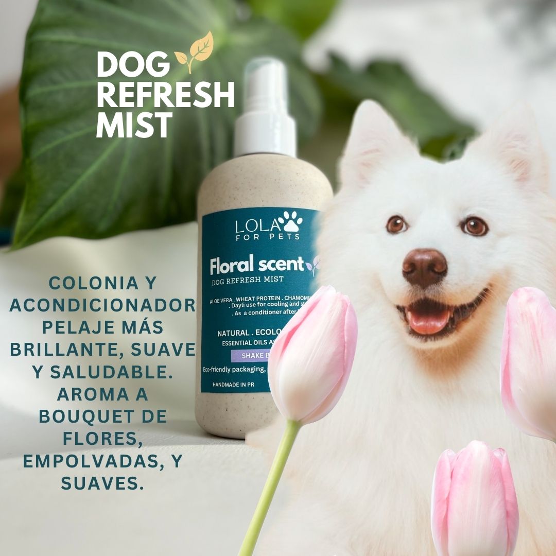 Dog Refresh Mist