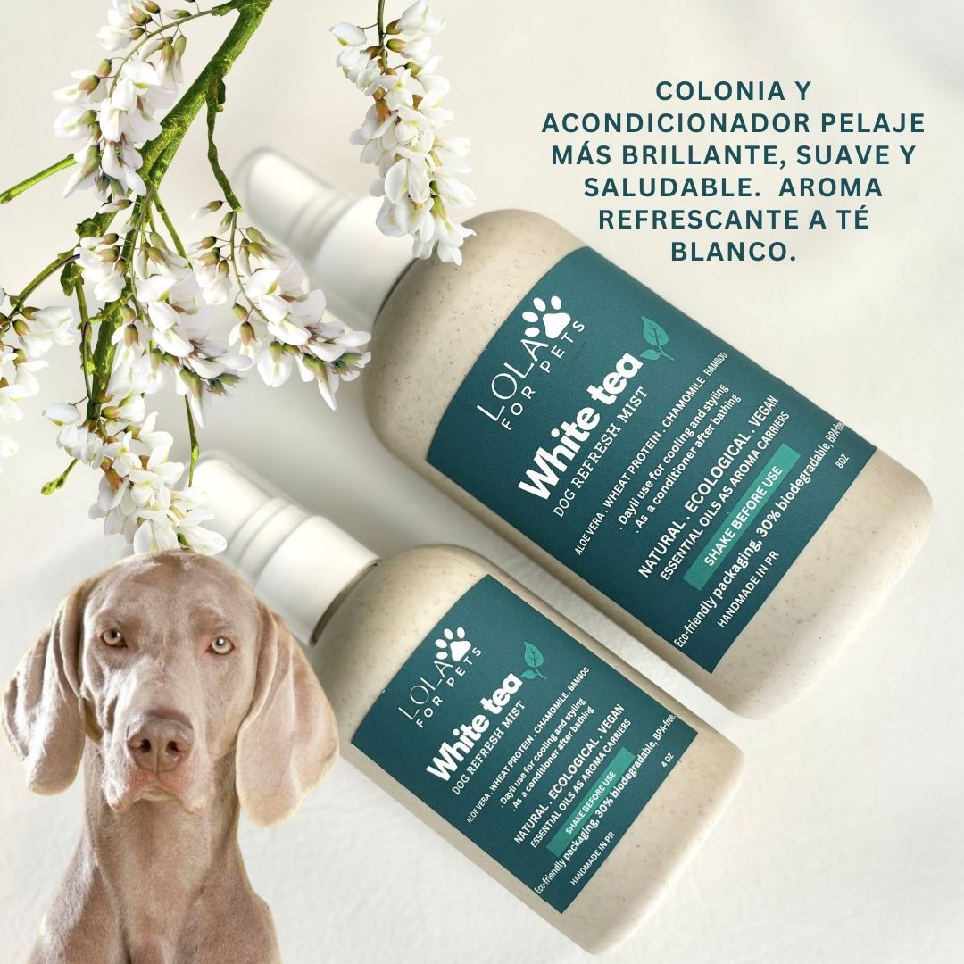 Dog Refresh Mist